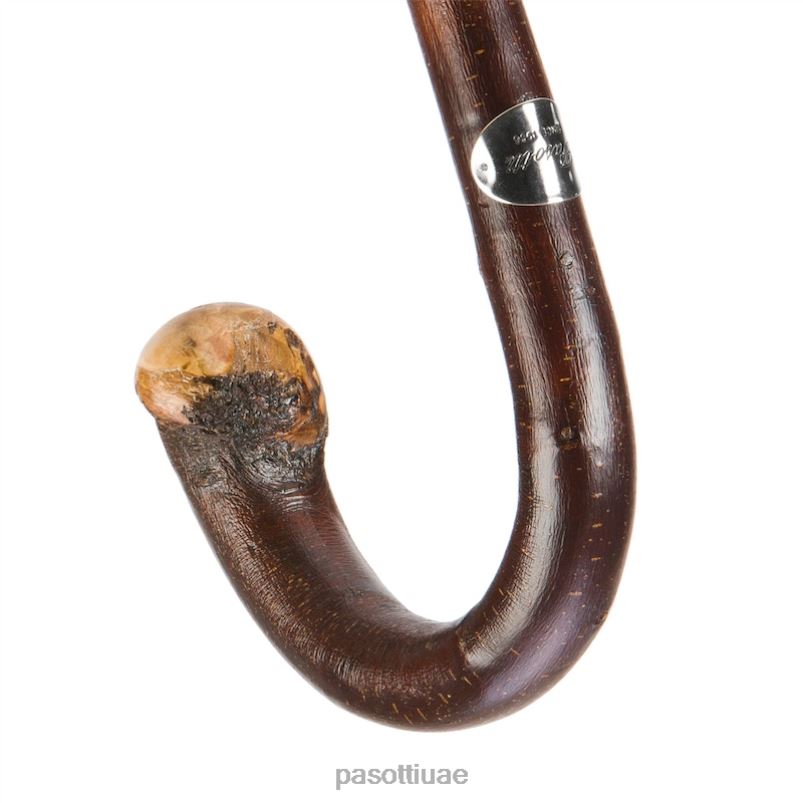 مظلة | 142 11780-254 cbr - مظلة مموهة مخصصة PASOTTI Z446V120